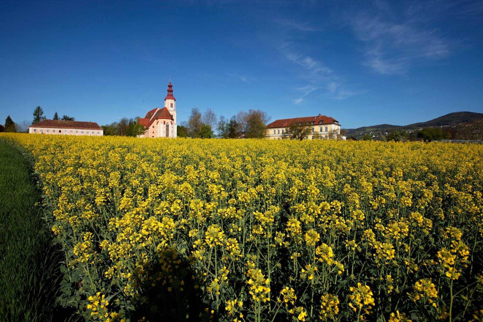 Gasthof Pack "Zur Lebing Au" Hartberg Bagian luar foto